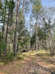 178 Bloomer Hill Rd Property Photo 3