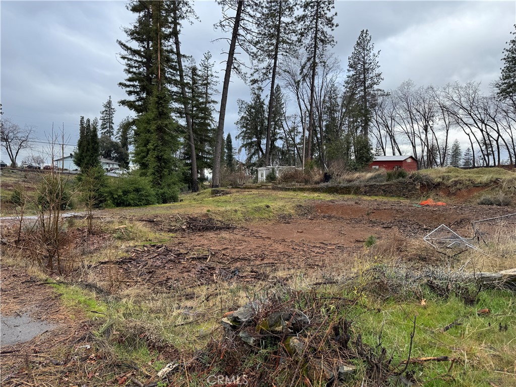 1037 Thomasson Lane Property Photo 3