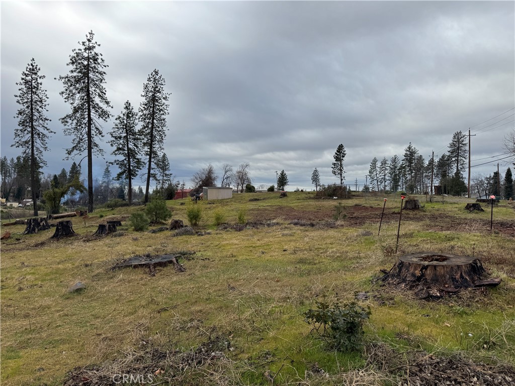 8064 Skyway Property Photo 4