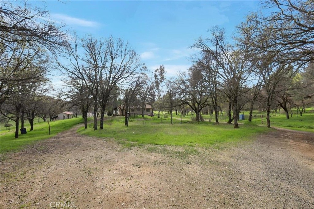10447 Texas Hill Road Property Photo 8