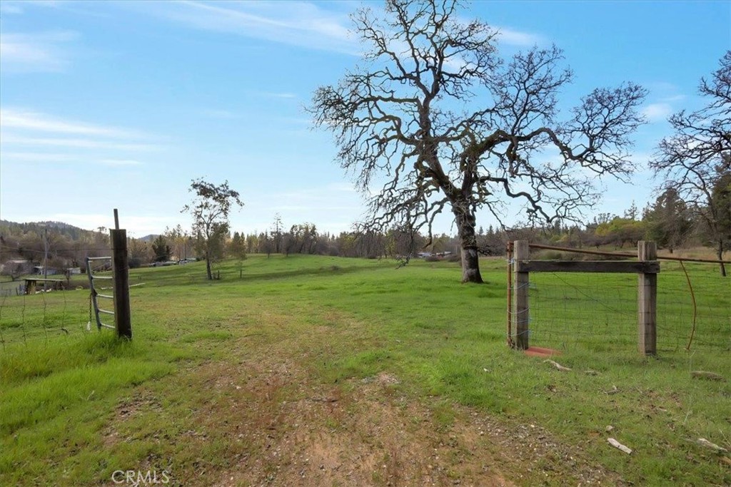 10447 Texas Hill Road Property Photo 14
