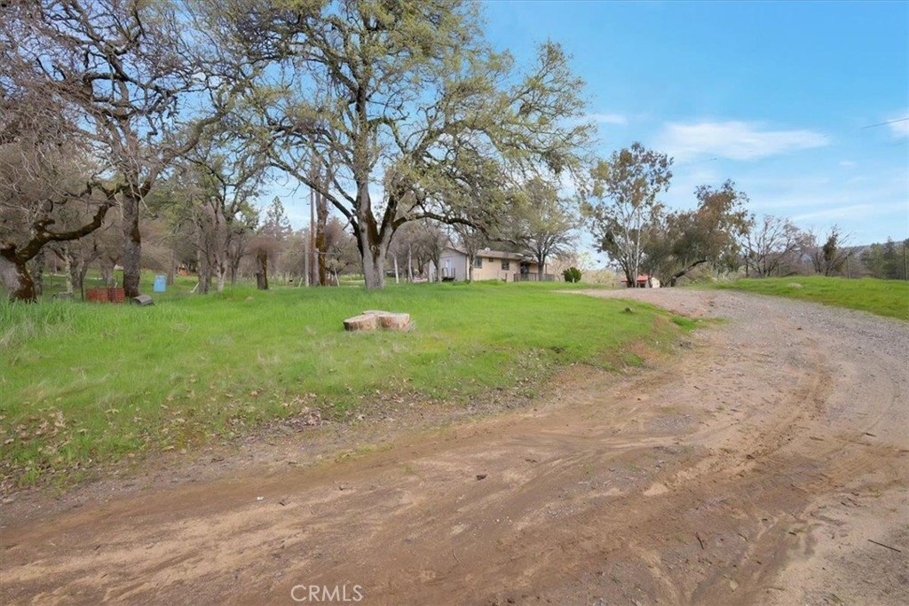 10447 Texas Hill Road Property Photo 15