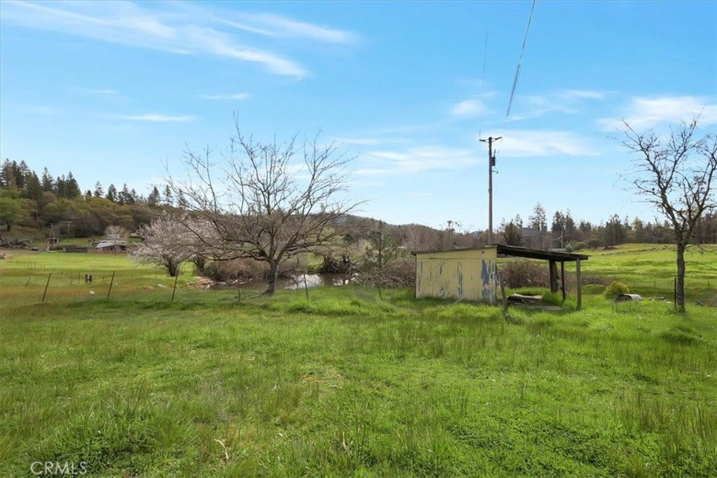 10447 Texas Hill Road Property Photo 16