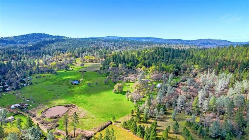 10447 Texas Hill Road Property Photo 23
