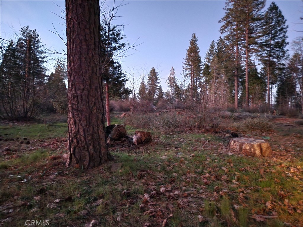 14302 Skyway Property Photo 2
