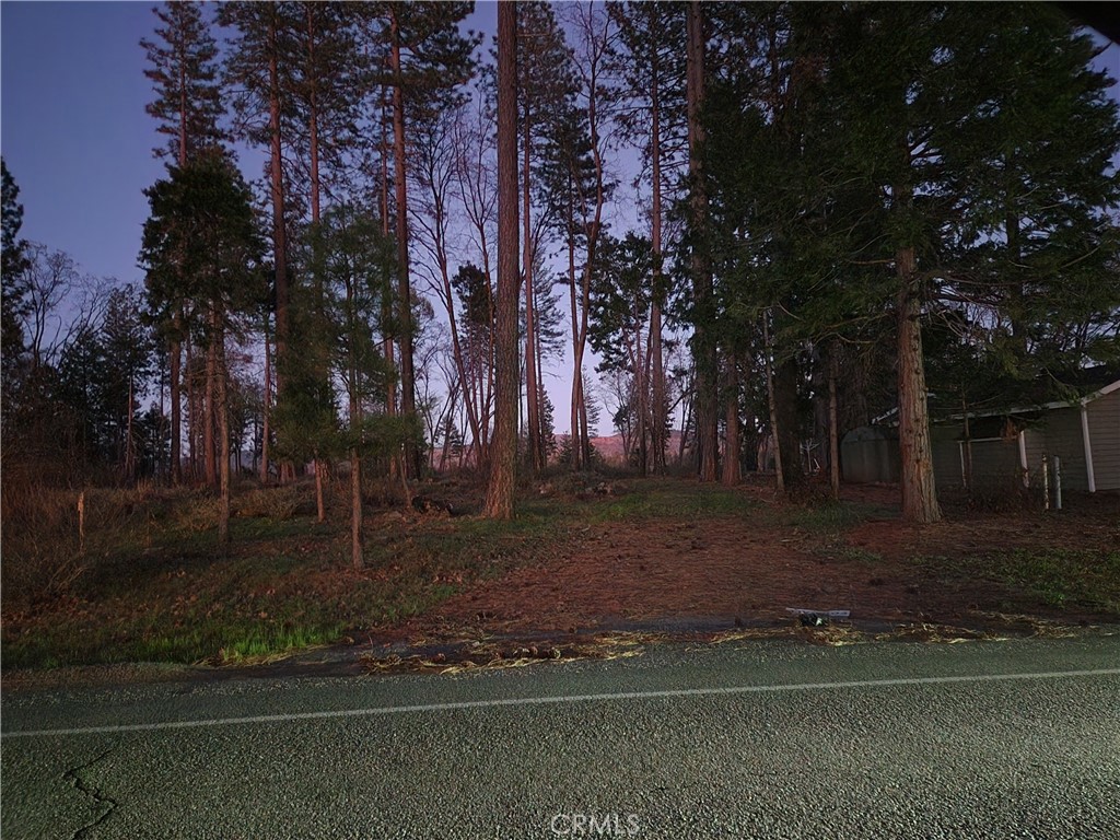 14302 Skyway Property Photo 4