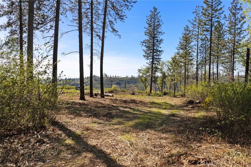 2922 Lost Ridge Way Property Photo 3