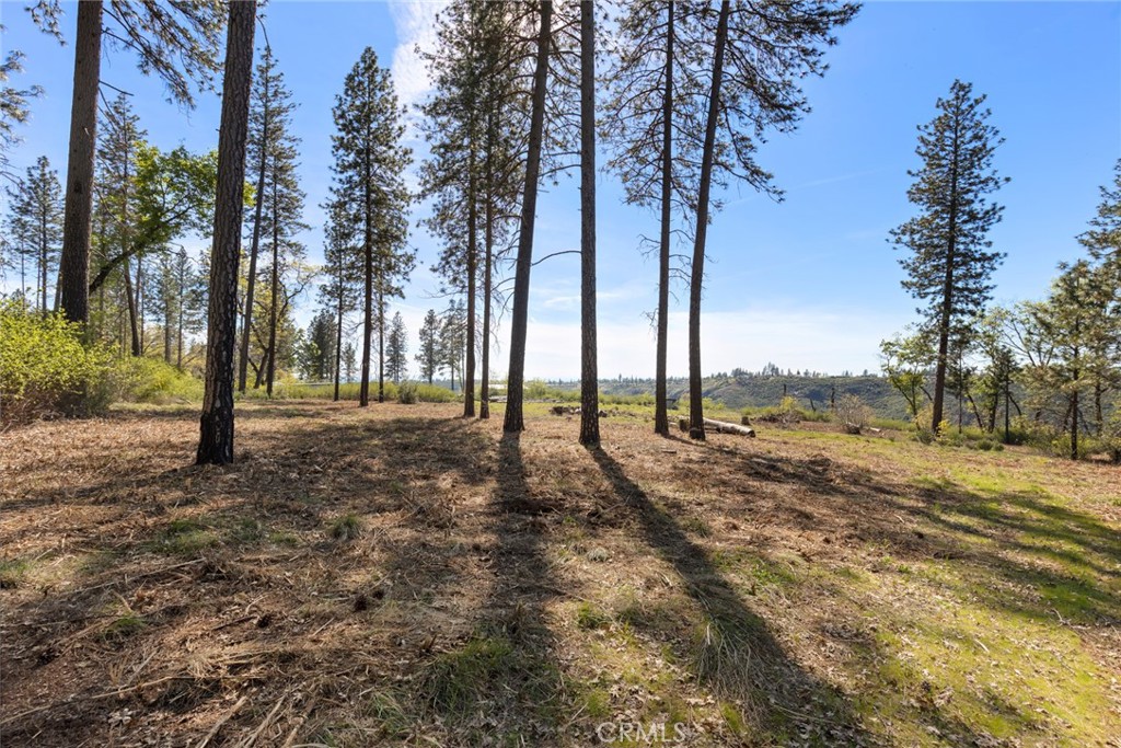 2922 Lost Ridge Way Property Photo 4