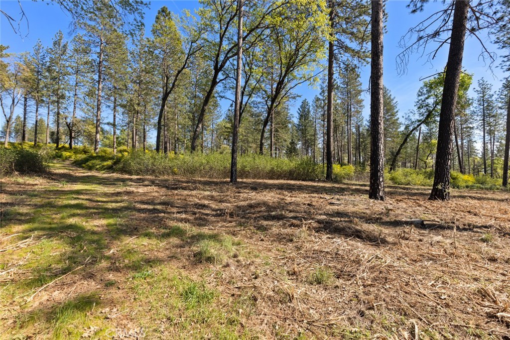 2922 Lost Ridge Way Property Photo 5