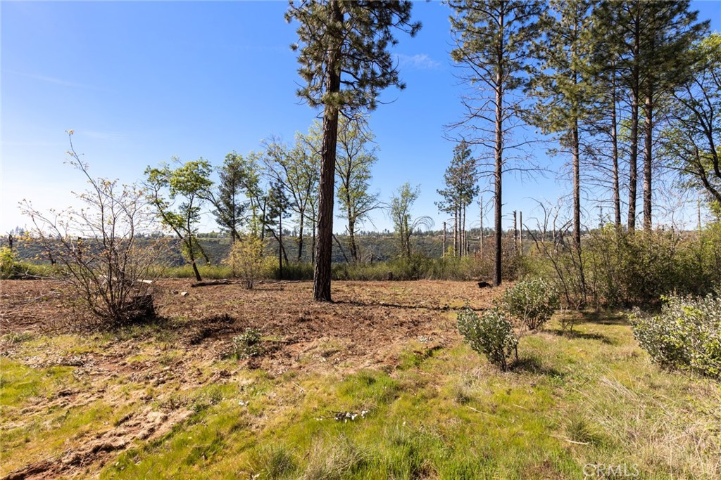 2922 Lost Ridge Way Property Photo 6