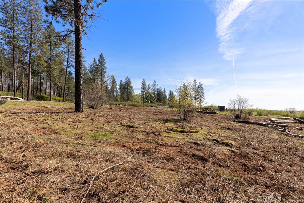 2922 Lost Ridge Way Property Photo 7