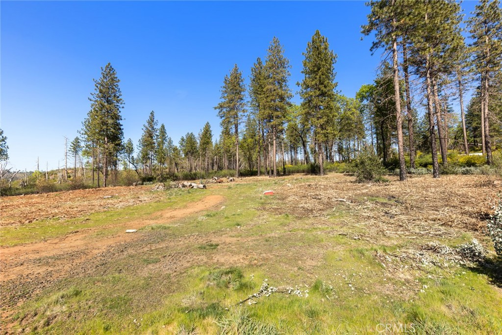 2922 Lost Ridge Way Property Photo 12
