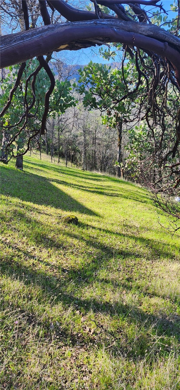 13566 Helltown Parcel 2 Property Photo 13