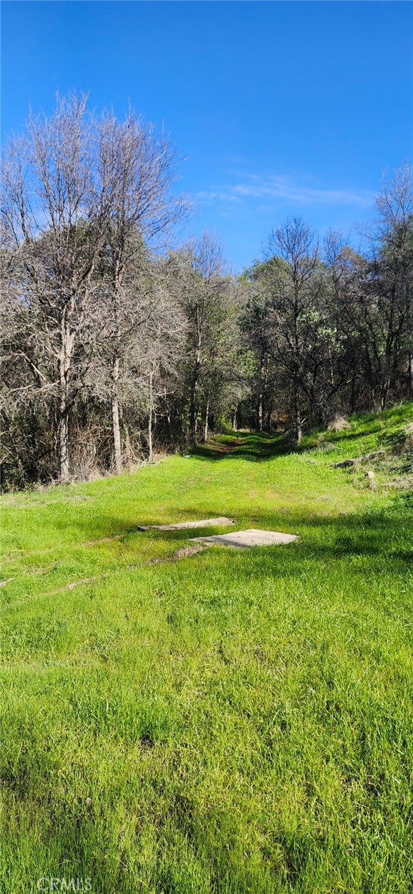13566 Helltown Parcel 2 Property Photo 14