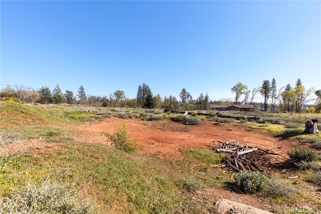 13586 Andover Drive Property Photo 7