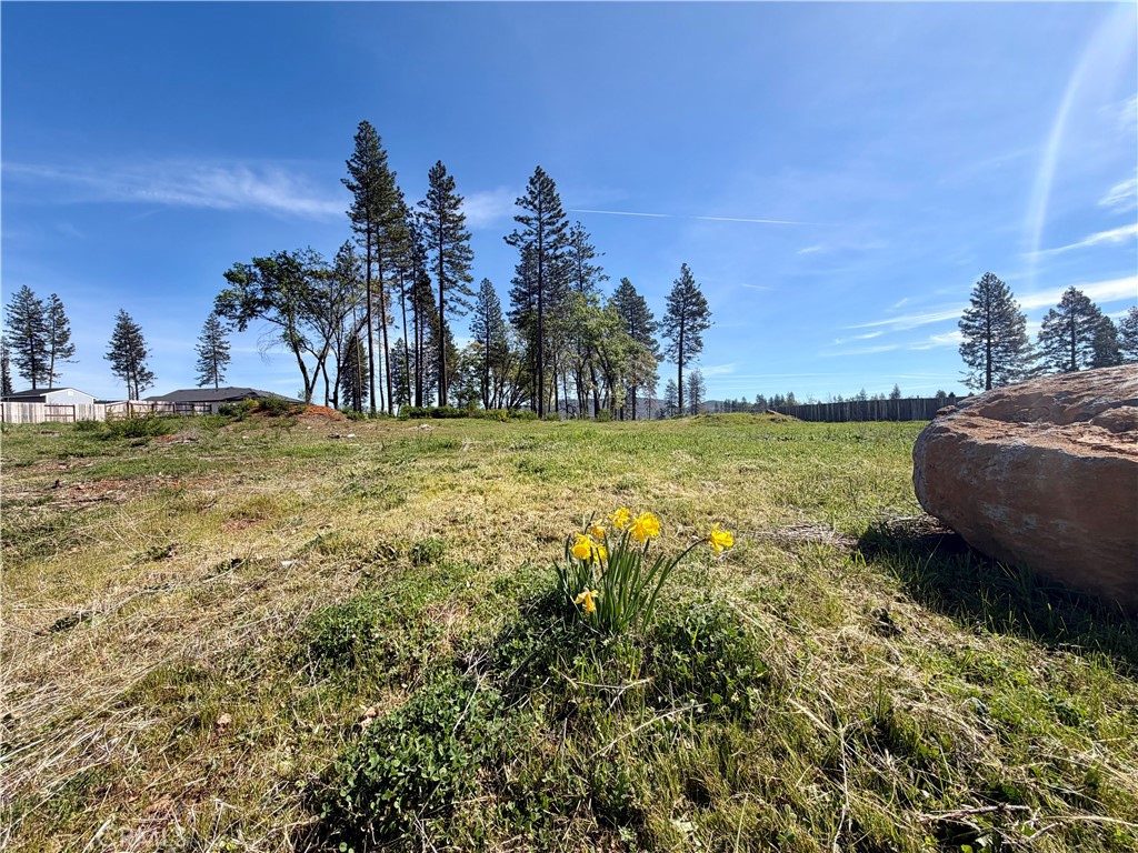 6588 Pentz Road Property Photo 1