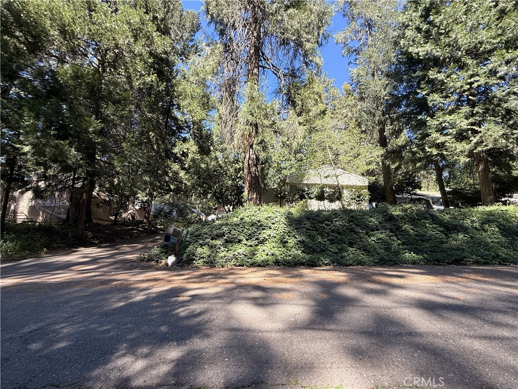 14378 Bethany Property Photo 51
