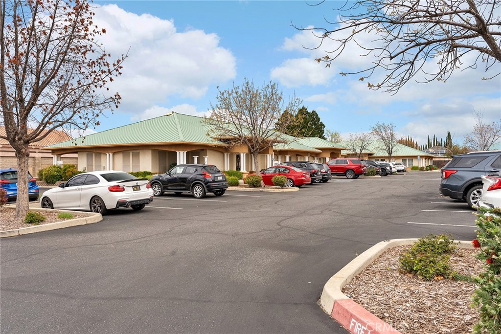 2535 Ceanothus Property Photo 4
