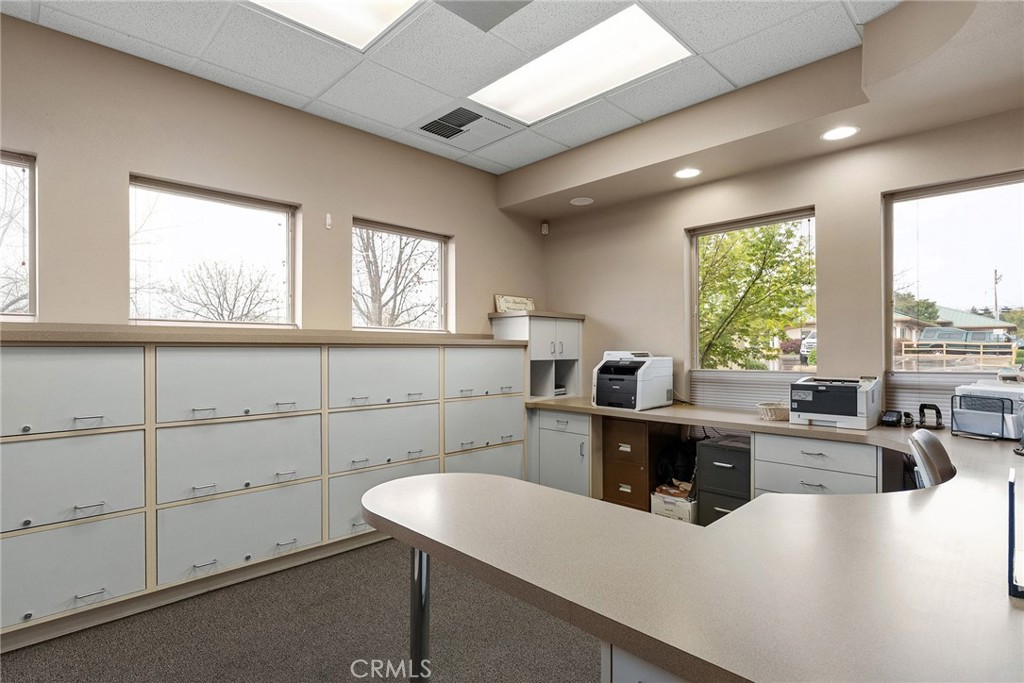 2535 Ceanothus Property Photo 11