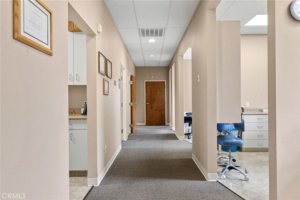2535 Ceanothus Property Photo 16