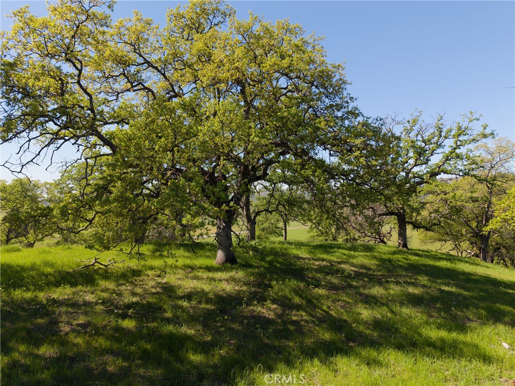 4053 Hidden Valley Property Photo 30