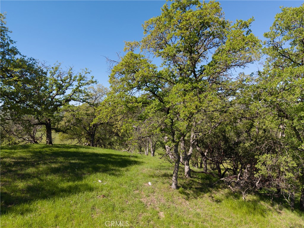 4053 Hidden Valley Property Photo 31