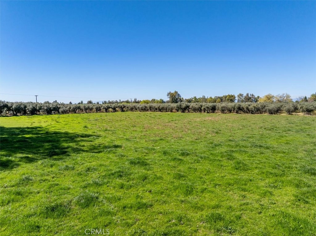 24840 South Property Photo 52