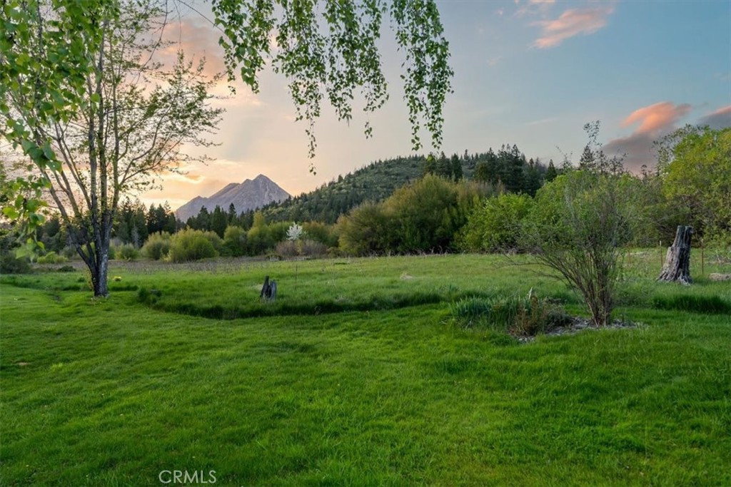 1422 Kingston Property Photo 31
