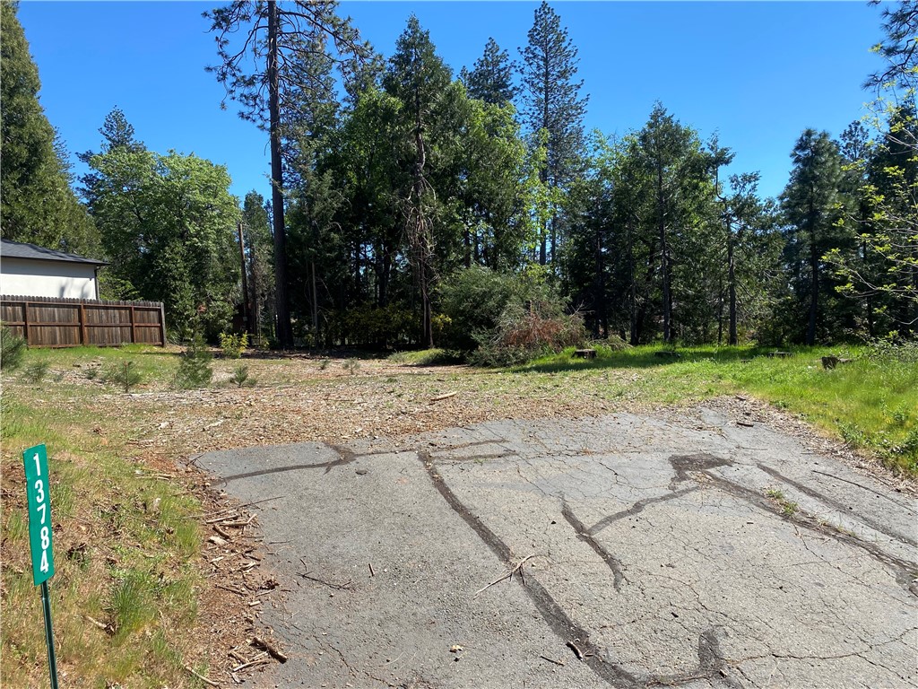 13784 Curtis Court Property Photo 1
