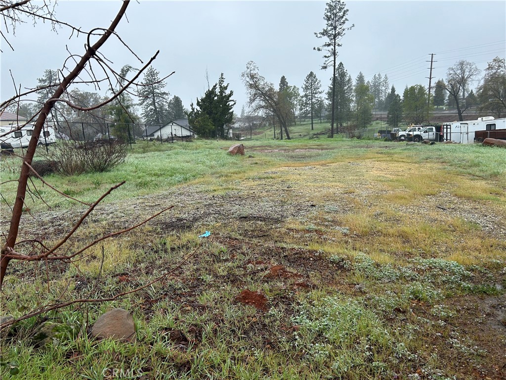 4009 Neal Road Property Photo 1