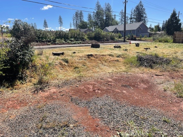 6189 Pentz Property Photo 3