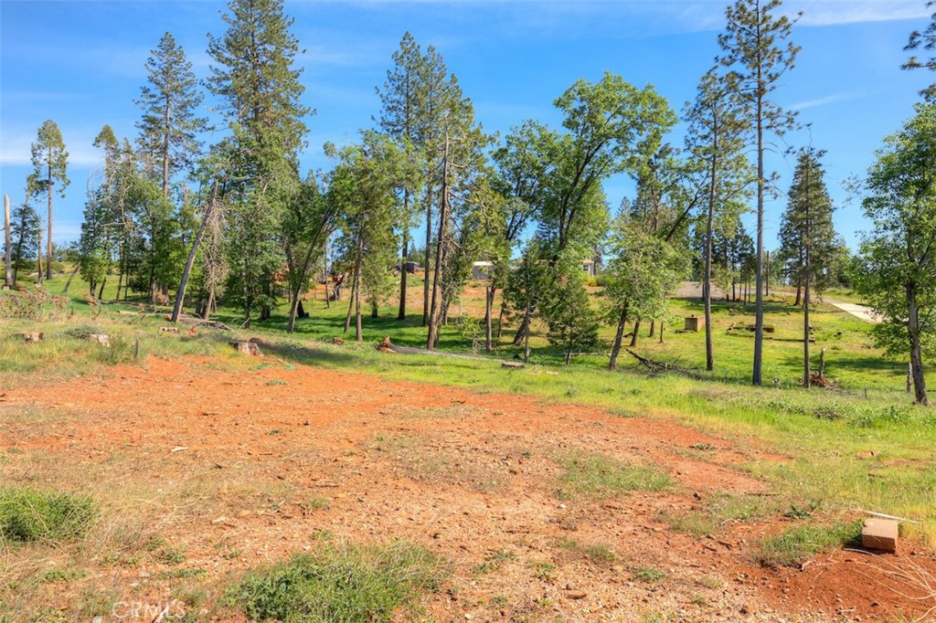 6232 Pueblo Property Photo 4