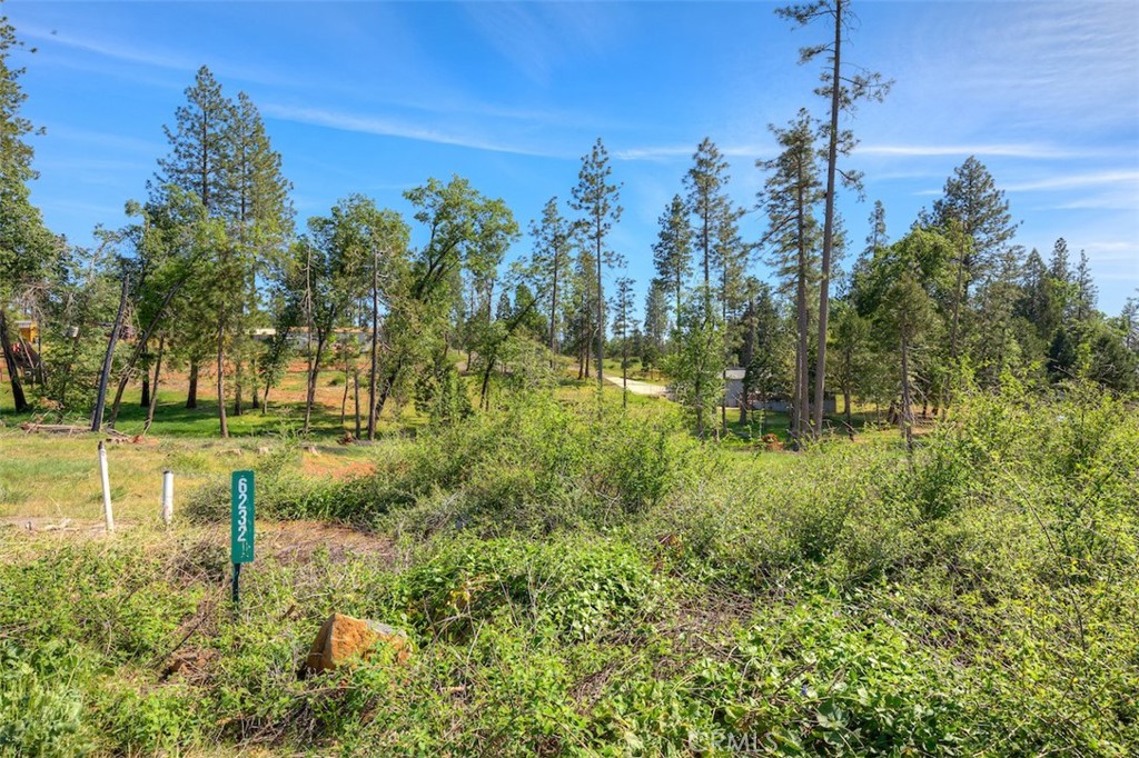 6232 Pueblo Property Photo 7