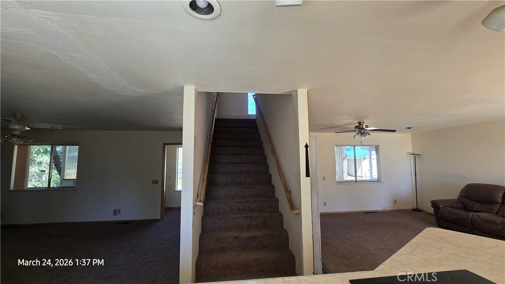 6715 Cumorah Crest Property Photo 27