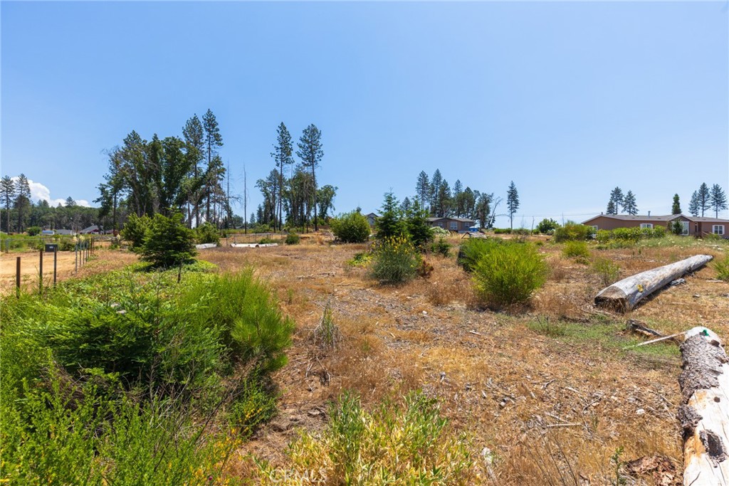 6368 Graham Property Photo 6