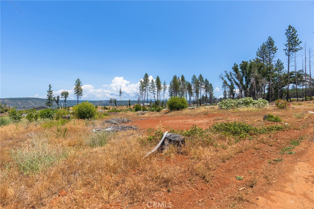 6368 Graham Property Photo 7
