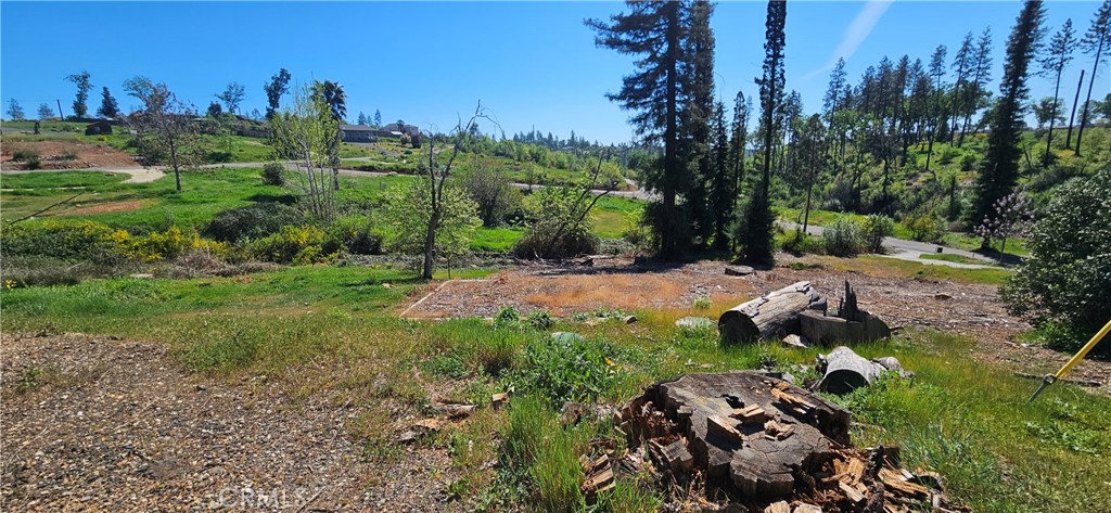 1190 Glen Property Photo 1