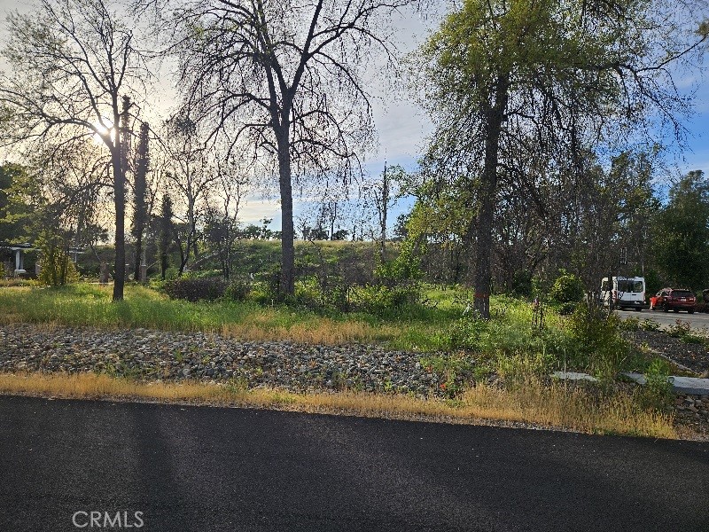 109 Sycamore Valley Property Photo 3