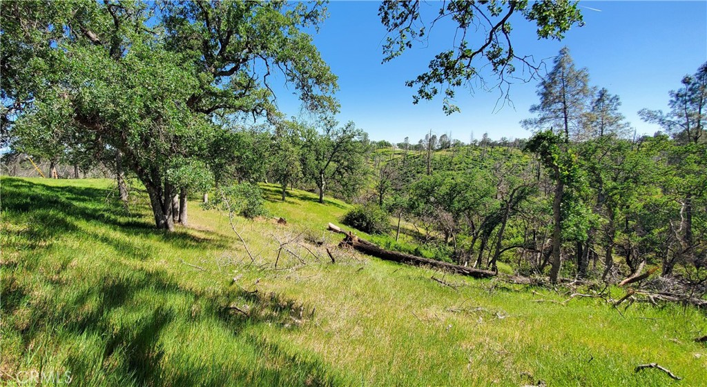 15687 Stagecoach Property Photo 1