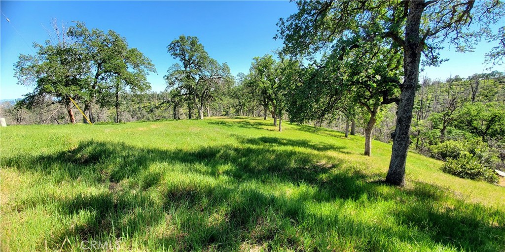 15687 Stagecoach Property Photo 2