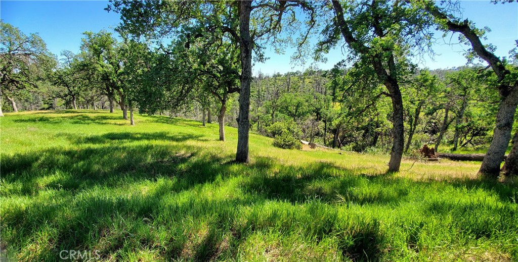 15687 Stagecoach Property Photo 3