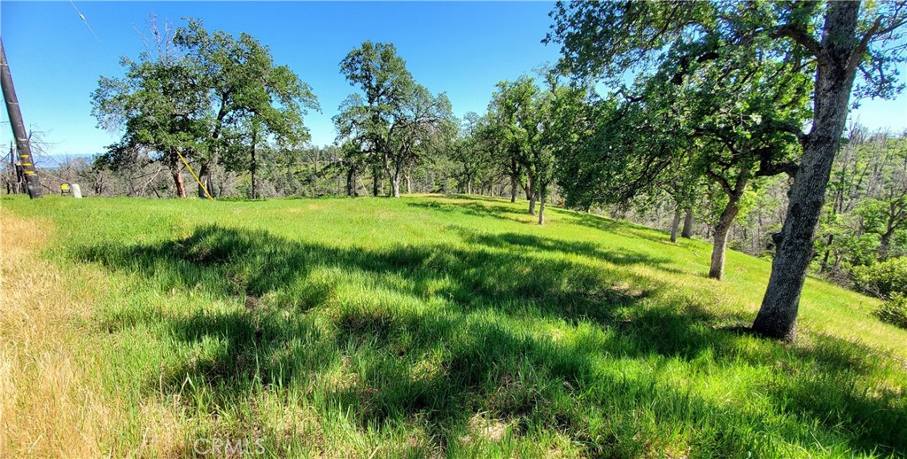 15687 Stagecoach Property Photo 4