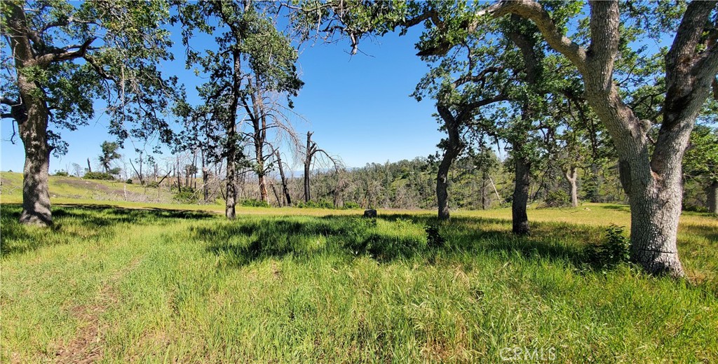 15687 Stagecoach Property Photo 5