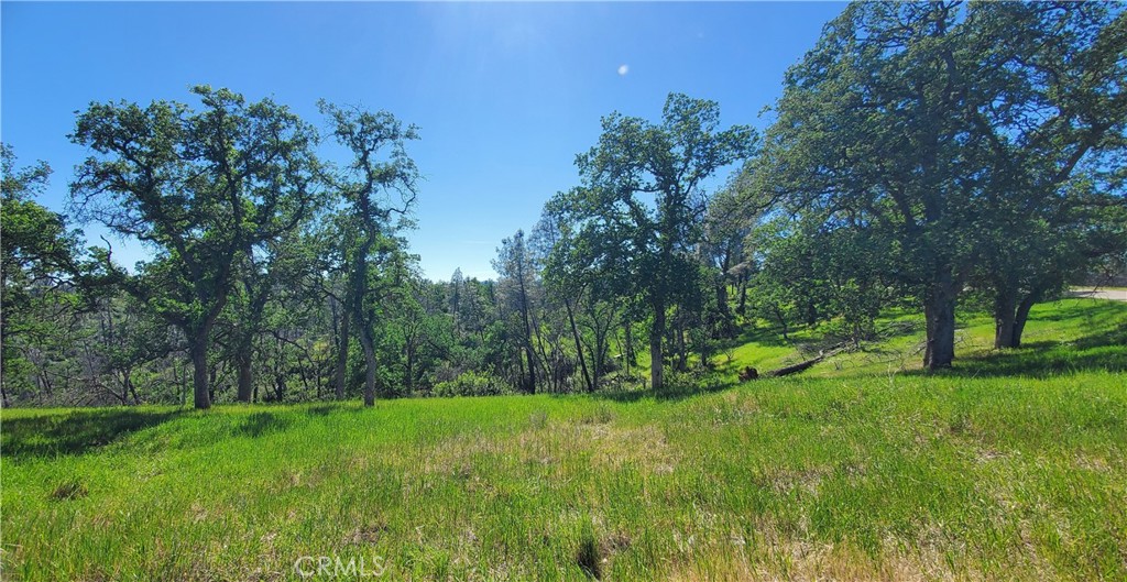 15687 Stagecoach Property Photo 7