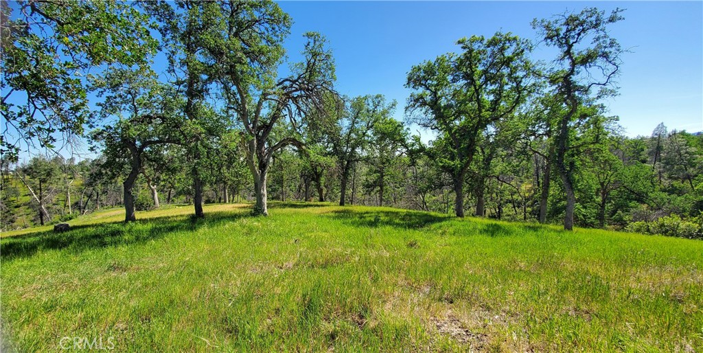 15687 Stagecoach Property Photo 8