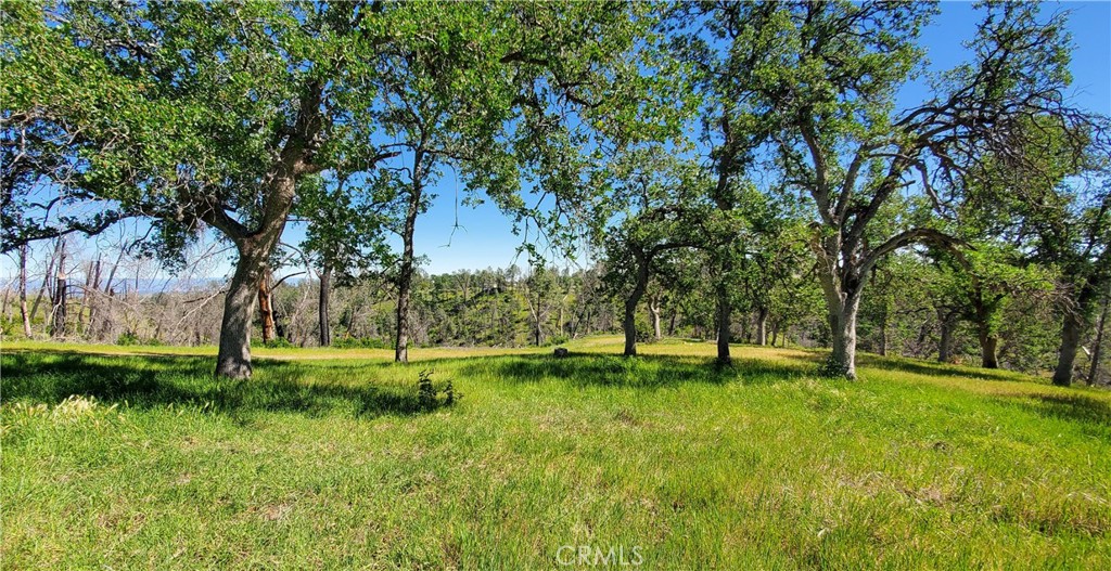 15687 Stagecoach Property Photo 9