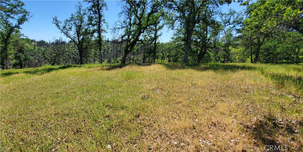 15687 Stagecoach Property Photo 10