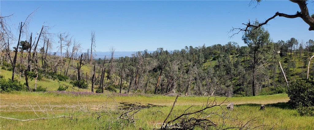 15687 Stagecoach Property Photo 11