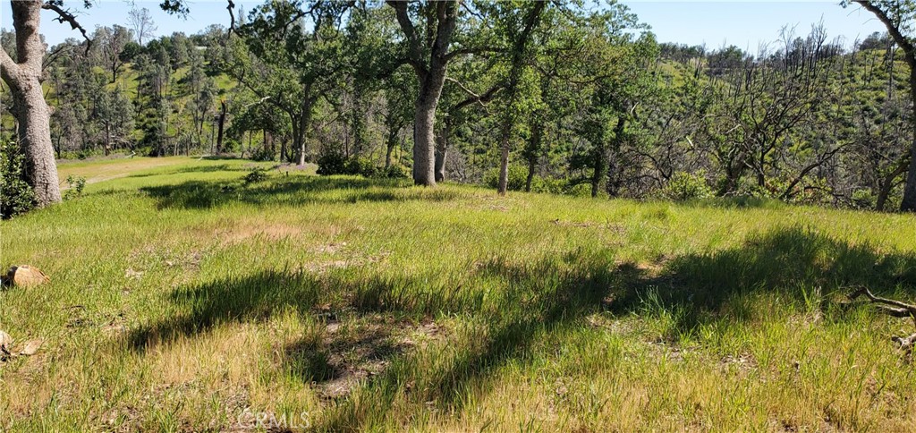 15687 Stagecoach Property Photo 12