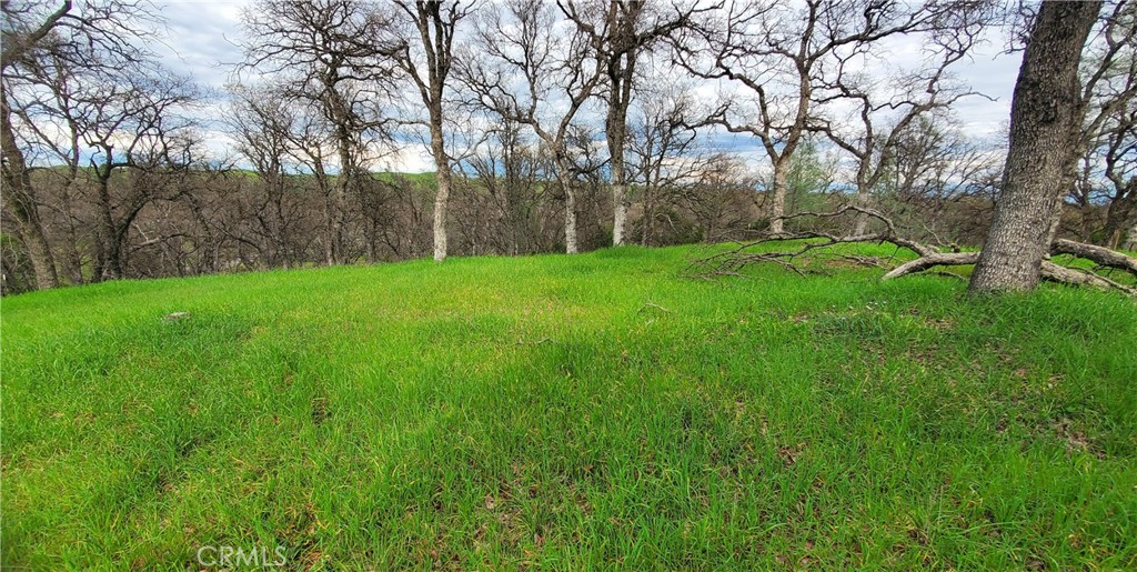 15842 S Mendocino Property Photo 5